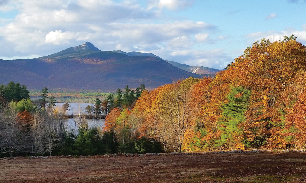 Fall 2018 Around Concord