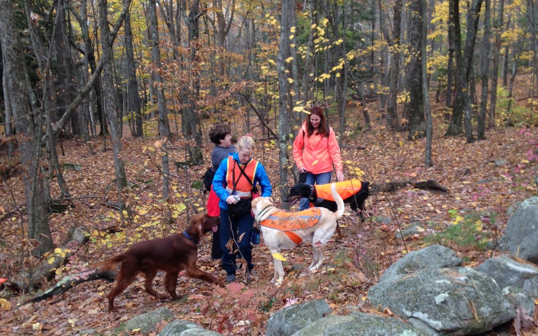 Meetup Spotlight: Hit the Trails With Your Pups and New Friends