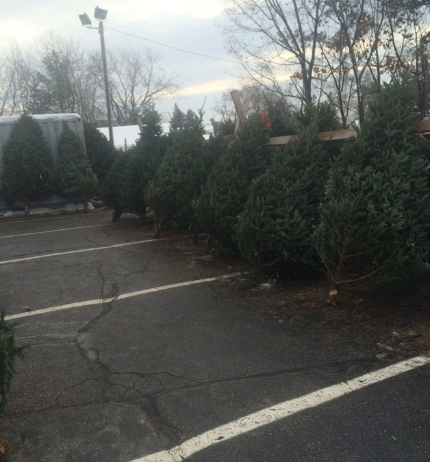 2014 Concord Area Christmas Tree Guide