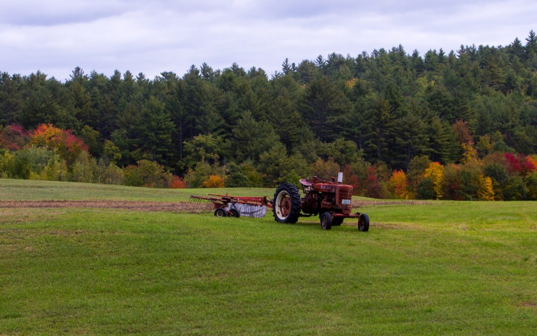 The rise of fall