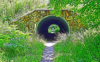 Follow a rail trail