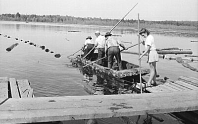History: ‘Lumber Jills’ of Turkey Pond