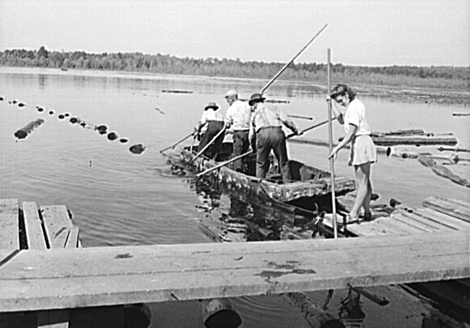 History: ‘Lumber Jills’ of Turkey Pond